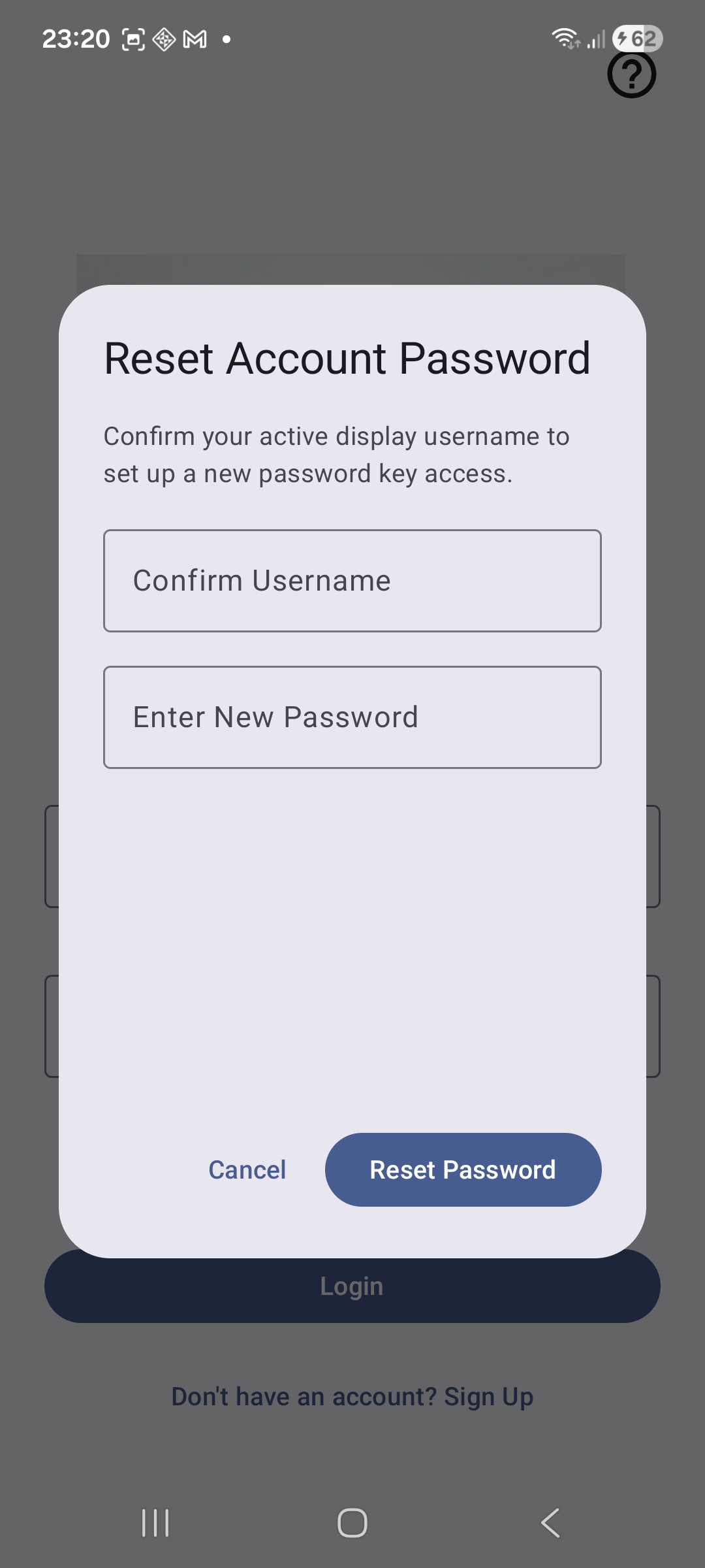 Forgot Password Safety Interface